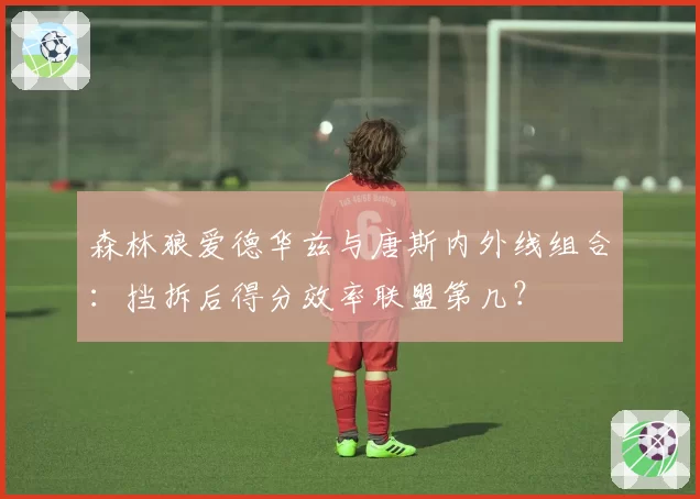森林狼爱德华兹与唐斯内外线组合：挡拆后得分效率联盟第几？