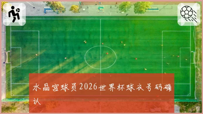 水晶宫球员2026世界杯球衣号码确认