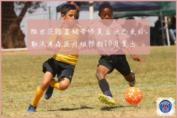 维尔茨膝盖韧带修复后状态良好，勒沃库森医疗组预测10月复出