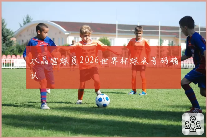 水晶宫球员2026世界杯球衣号码确认